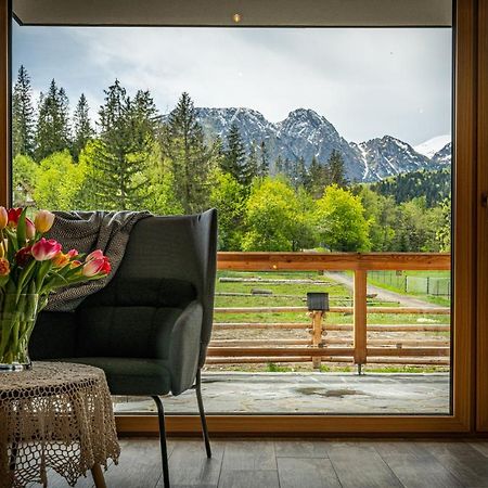 Bialy Mis Apartamenty Art & Design Zakopane Ngoại thất bức ảnh